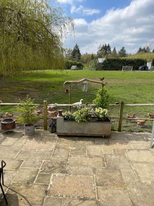 Forest View Shepherd Hut Ewhurst Екстериор снимка