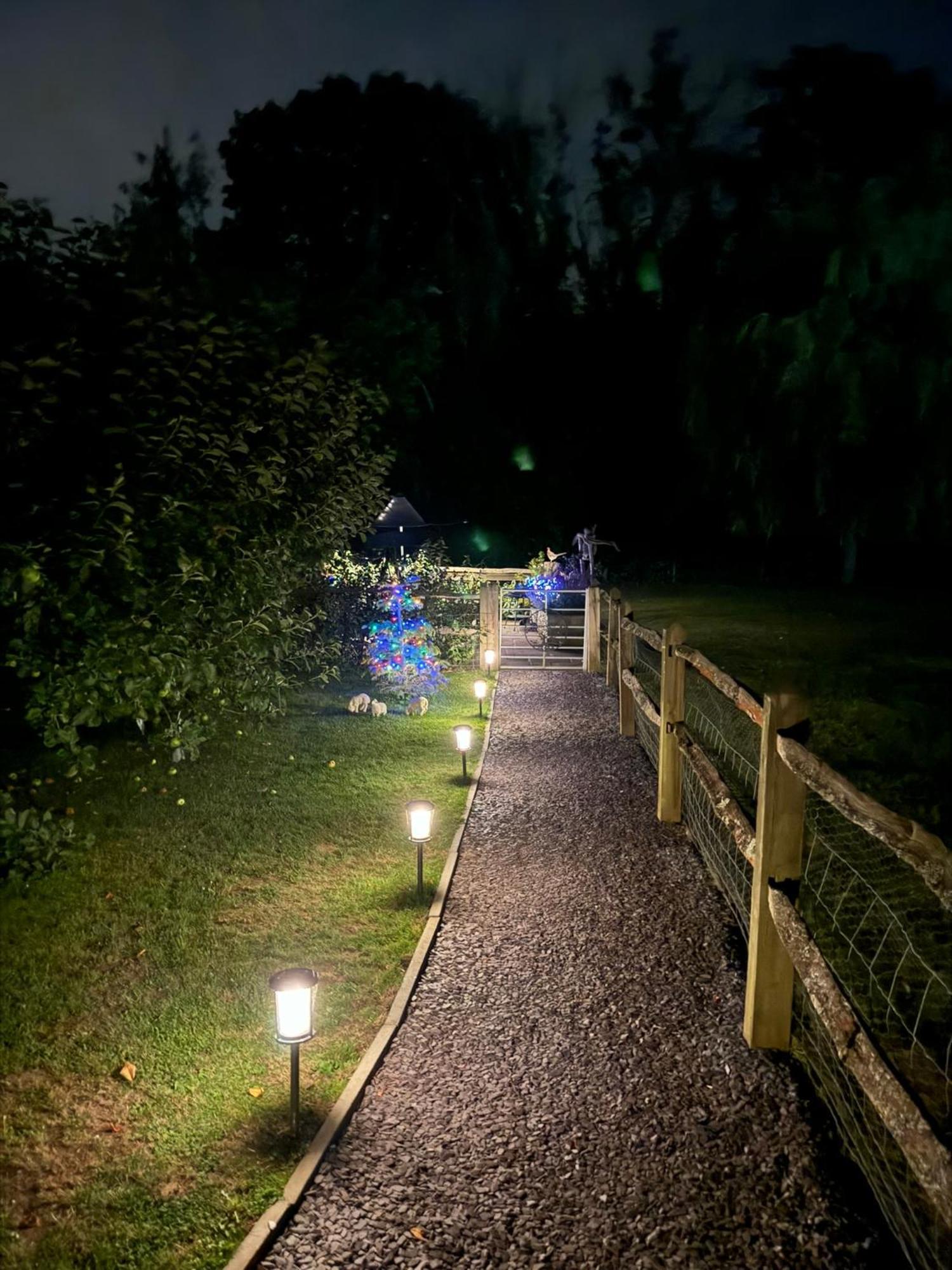 Forest View Shepherd Hut Ewhurst Екстериор снимка